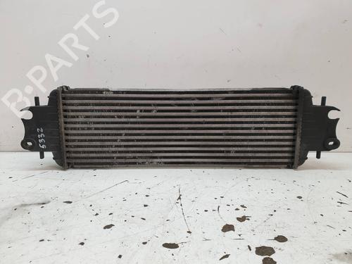 Intercooler NISSAN PRIMASTAR Bus (X83) [2001-2025]  29123559