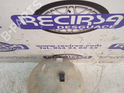 Expansion tank MERCEDES-BENZ VITO / MIXTO Van (W639)  | BP9961776C120