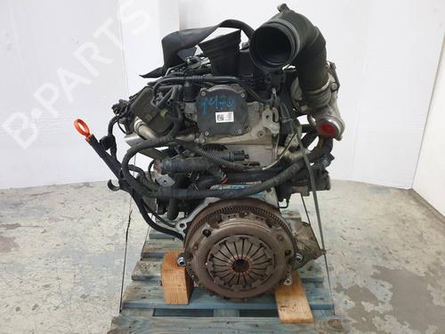 Engine VW POLO V (6R1, 6C1)  | BP16257488M1 