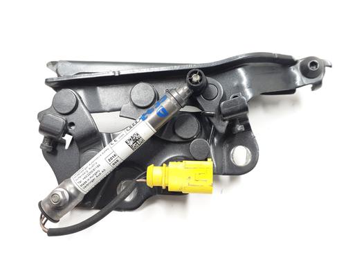 Used Hinge/Door check strap Hinge/Door check strap AUDI A3 Limousine (8VS, 8VM) S3 quattro (310 hp) 35894409 35894409