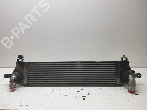 Used Intercooler NISSAN QASHQAI / QASHQAI +2 I (J10, NJ10, JJ10E) [2006-2014]  21397226