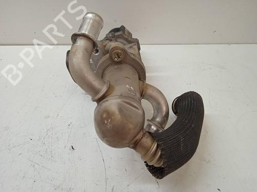 Egr FIAT FIORINO Box Body/MPV (225_) | BP15252503M69