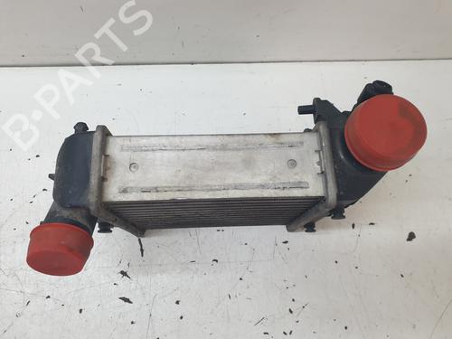 Intercooler AUDI A6 C6 (4F2) 3.0 TDI quattro | BP24167555M30 
