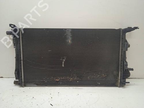 Used Water radiator RENAULT MEGANE III Hatchback (BZ0/1_, B3_) [2008-2025]  11130894