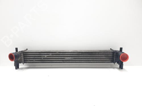 Intercooler SEAT IBIZA IV (6J5, 6P1) 1.6 TDI (90 hp) 31965612
