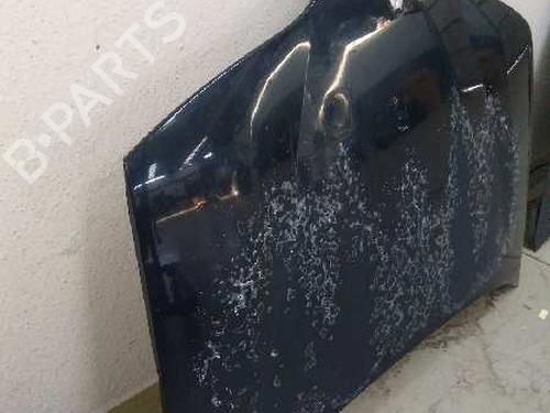 Hood RENAULT LAGUNA II (BG0/1_)  | BP9493562C1 