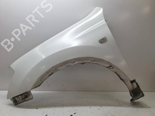 Used Left front fenders NISSAN QASHQAI / QASHQAI +2 I (J10, NJ10, JJ10E) [2006-2014]  20933195