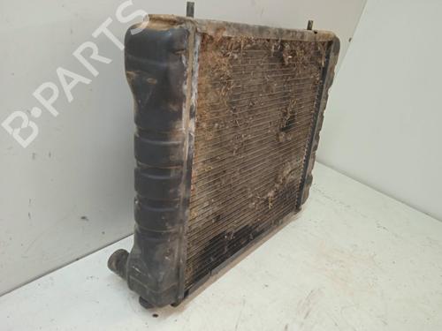 Water radiator LAND ROVER DISCOVERY I (LJ)  | BP13665675M31 