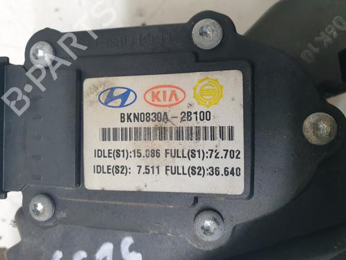 Pedal HYUNDAI SANTA FÉ II (CM)  | BP24125656I4 