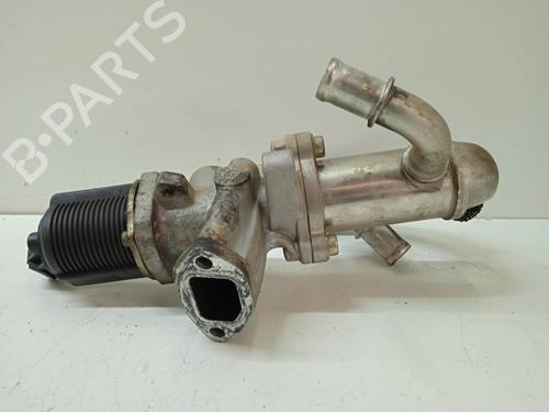 Egr FIAT FIORINO Box Body/MPV (225_) | BP15252503M69