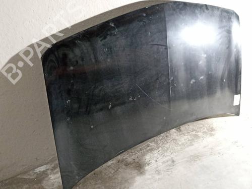 Hood RENAULT MEGANE II (BM0/1_, CM0/1_)  | BP9491229C1 