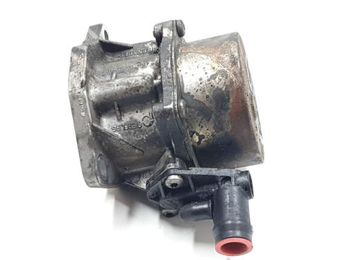 Vacuum pump RENAULT KANGOO (KC0/1_)  | BP29506667M80 