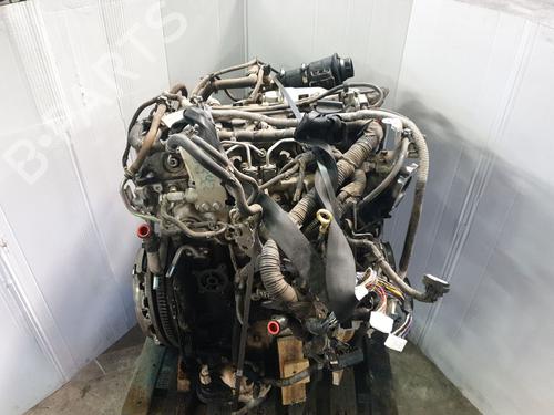 Engine NISSAN NAVARA NP300 (D40) 2.5 dCi 4WD (D40TT, D40T, D40M, D40BB) | BP31919890M1