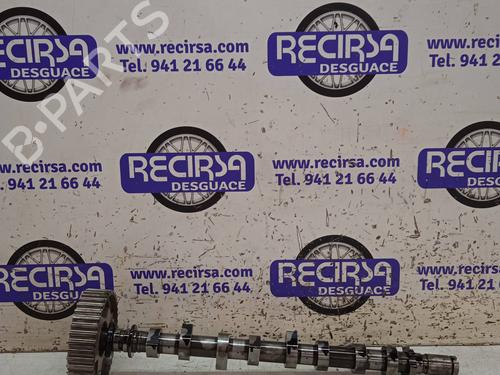 Used Other NISSAN JUKE (F15) [2010-2019]  14239323