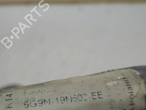  - Image 4