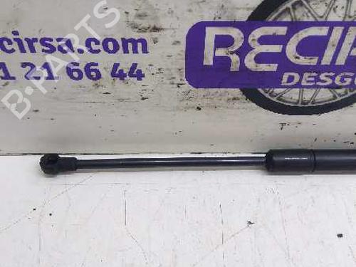 Hood lift support VW CADDY III MPV (2KB, 2KJ, 2CB, 2CJ)  | BP25881912C139 