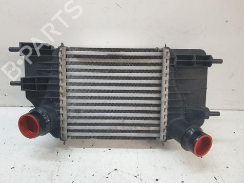 Intercooler NISSAN NOTE (E13) [2020-2025]  25919243