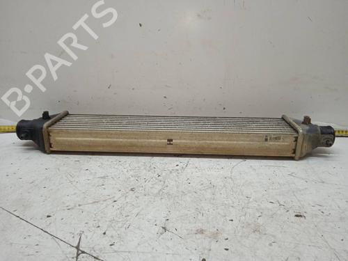 Intercooler OPEL COMBO Box Body/MPV (X12)  | BP10332538M30 