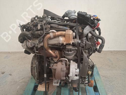 Used Engine SEAT EXEO ST (3R5) [2009-2013]  13042506