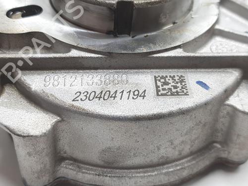 Vacuum pump CITROËN C3 AIRCROSS II (2R_, 2C_) 1.2 PureTech 110 (2RHNZB, 2RHNZW, 2RHNPX, 2RHNPJ) | BP28189166M80 