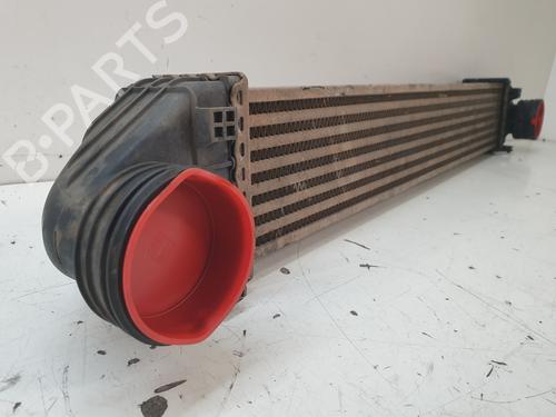 Intercooler MERCEDES-BENZ A-CLASS (W169)  | BP21288877M30 