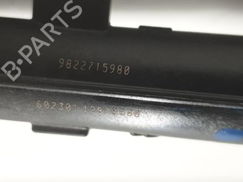 Injector CITROËN C3 AIRCROSS II (2R_, 2C_) 1.2 PureTech 110 (2RHNZB, 2RHNZW, 2RHNPX, 2RHNPJ) | BP28189168M100