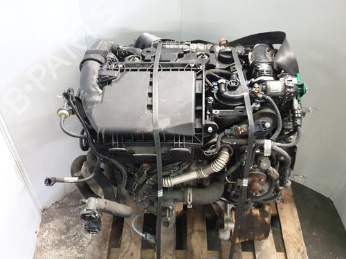 Engine CITROËN BERLINGO Box Body/MPV (B9) 1.6 HDi / BlueHDi 75 | BP36500616M1 - Image 6