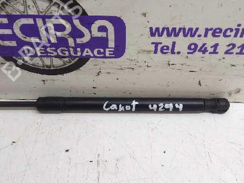 Hood lift support VW CADDY III MPV (2KB, 2KJ, 2CB, 2CJ)  | BP25881912C139 