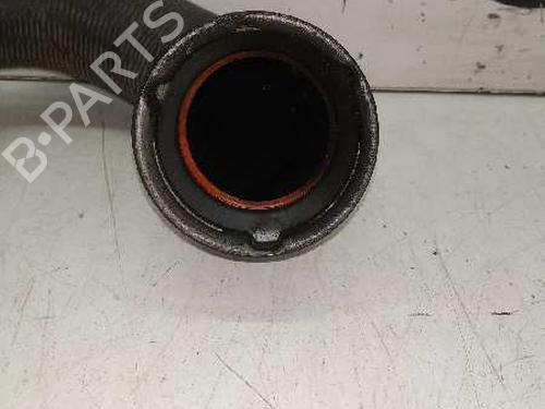Pipe ALFA ROMEO GIULIETTA (940_)  | BP14238848M125 