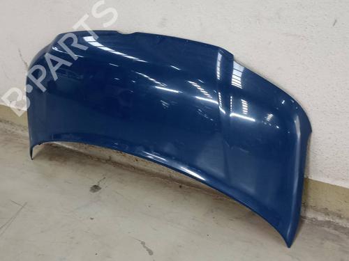 Hood VW TOUAREG (7LA, 7L6, 7L7)  | BP10029959C1 