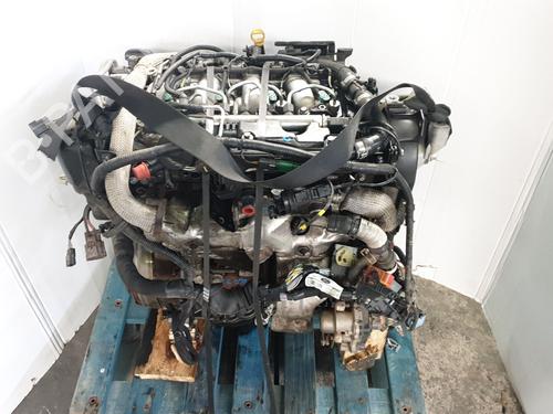 Engine LAND ROVER RANGE ROVER EVOQUE (L538) 2.2 D 4x4 | BP36115149M1 - Image 6