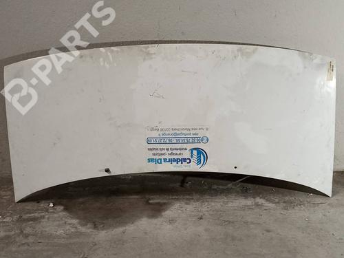 Used Hood Hood CITROËN JUMPY I Platform/Chassis (BU_, BV_, BW_, BX_) 2.0 HDi 95 (94 hp) 9490674 9490674