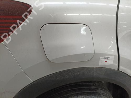 Fuel pump RENAULT CAPTUR I (J5_, H5_) 1.3 TCe 130 (J5NJ, J5NE) | BP30836166M76