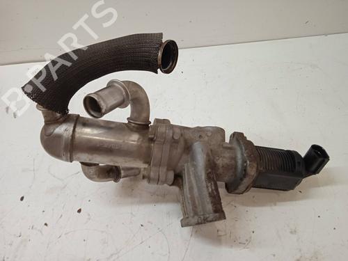 Egr FIAT FIORINO Box Body/MPV (225_) | BP15252503M69