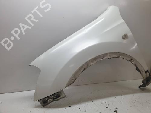 Left front fenders NISSAN QASHQAI / QASHQAI +2 I (J10, NJ10, JJ10E)  | BP20933195C41 