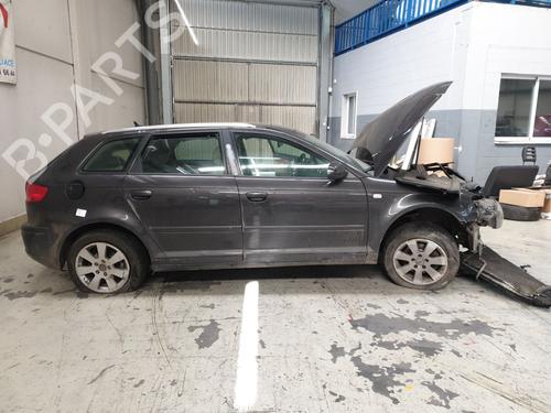 Instrument cluster AUDI A3 (8P1) 2.0 TDI 16V | BP33048795C47 - Image 11