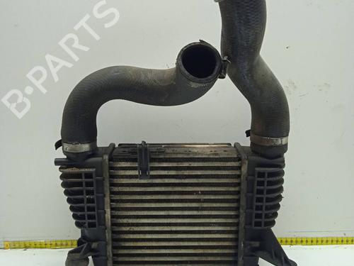 Intercooler NISSAN JUKE (F15)  | BP9484671M30 