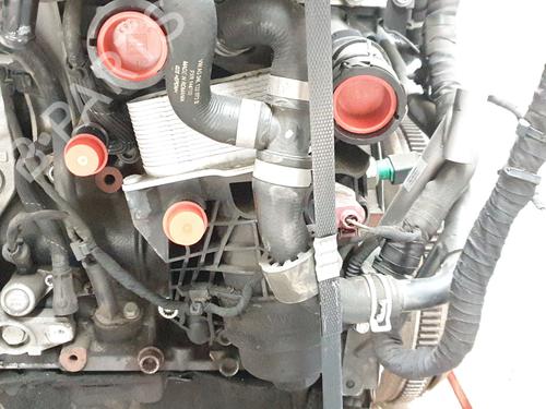 Engine VW GOLF VII (5G1, BQ1, BE1, BE2)  | BP28025654M1 