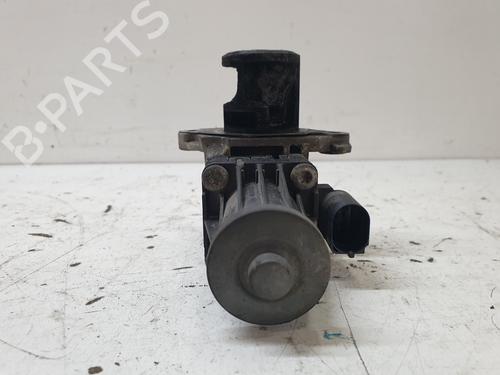 Egr FIAT PUNTO EVO (199_) 1.2 | BP23557952M69 