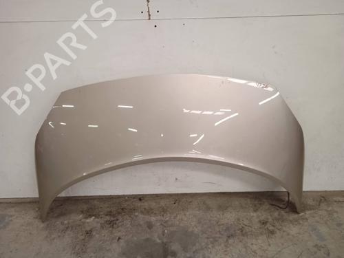 Used Hood RENAULT SCÉNIC II (JM0/1_) [2003-2010]  11057556