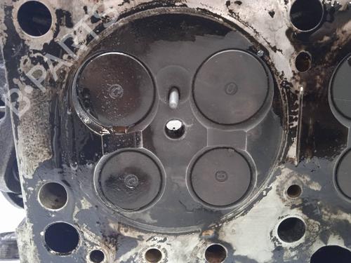 Cylinder head TOYOTA AVENSIS Estate (_T25_)  | BP13115631M5 
