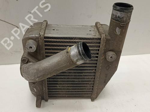 Intercooler NISSAN PRIMERA Hatchback (P12)  | BP9466113M30 