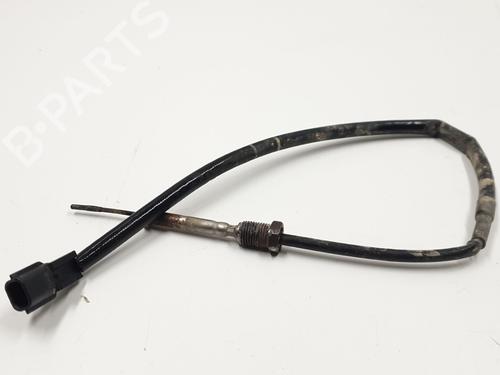 Elektronisk sensor RENAULT MASTER III Bus (JV) 2.3 dCi 110 FWD (JV0R, JV0W) (110 hp) 29709110