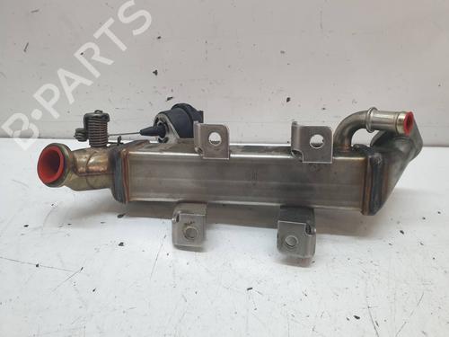 Used Egr NISSAN QASHQAI / QASHQAI +2 I (J10, NJ10, JJ10E) [2006-2014]  21397223