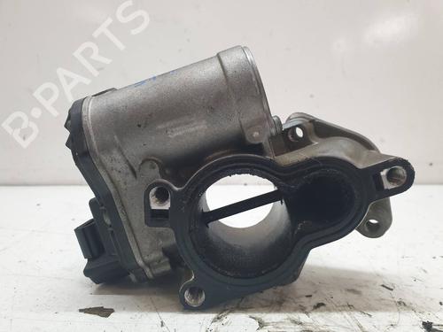 Egr NISSAN QASHQAI / QASHQAI +2 I (J10, NJ10, JJ10E)  | BP21395802M69 