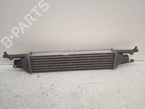 Used Intercooler FIAT PUNTO EVO (199_) [2008-2025]  10410525