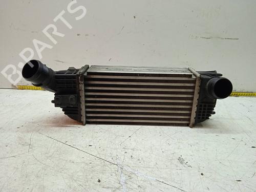 Used Intercooler PEUGEOT 508 I (8D_) 2.0 HDi (163 hp) 10040081