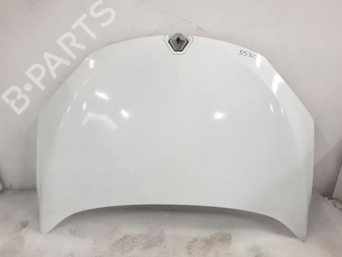 hood-renault-megane-iii-hatchback-bz01_-b3_-2008-32718833 main image