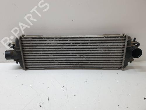 Intercooler NISSAN PRIMASTAR Van (X83)  | BP18854621M30 