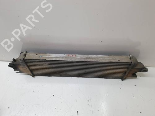 Intercooler NISSAN PRIMASTAR Van (X83)  | BP18854621M30 